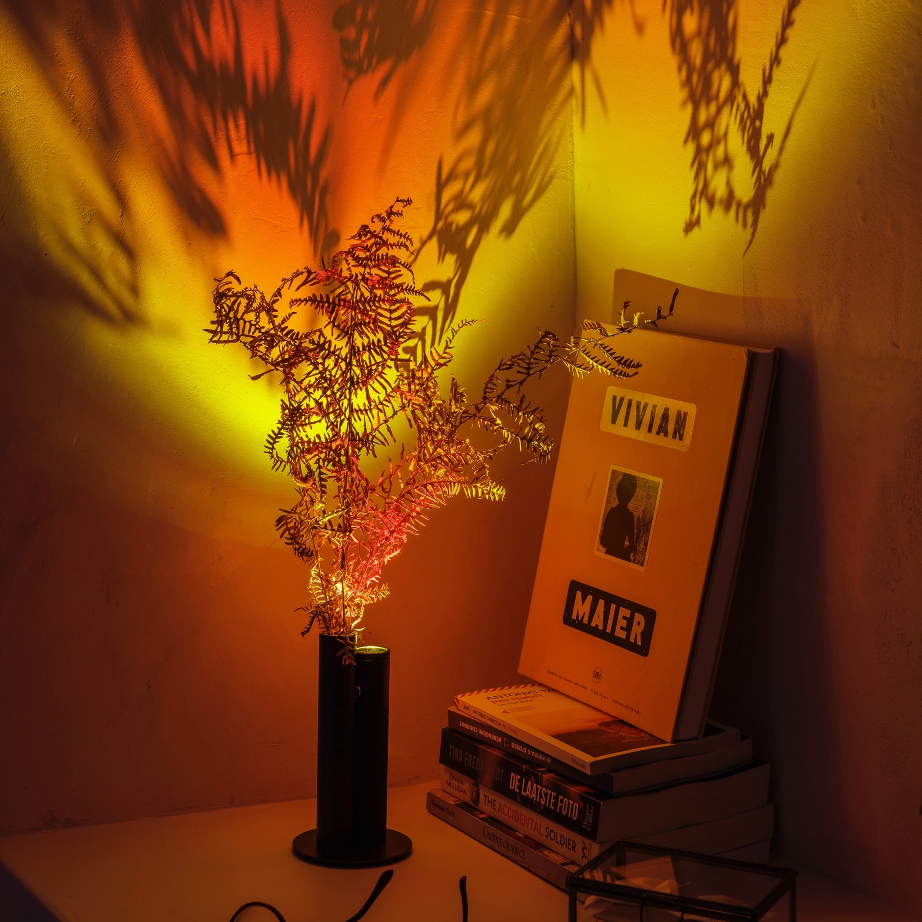 Halo Mag Bloom 桌燈